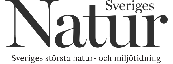 Sveriges natur logotyp