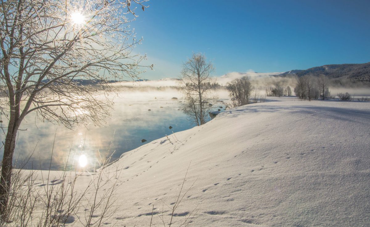 Vinterlandskap med soldimma över floden, rimfrost i träden och djurspår i snön med en klarblå himmel som bakgrund.