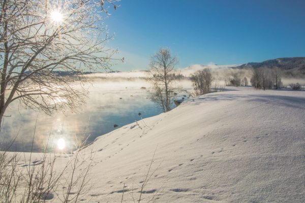 Vinterlandskap med soldimma över floden, rimfrost i träden och djurspår i snön med en klarblå himmel som bakgrund.