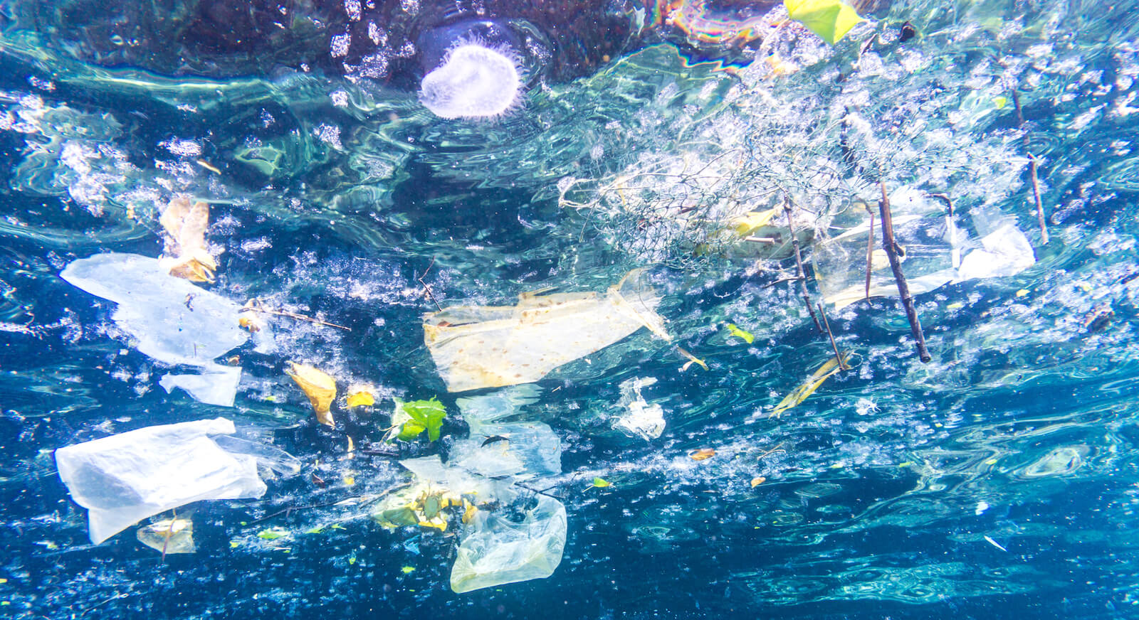 Svensk plast skräpar ned världshaven – Sveriges Natur