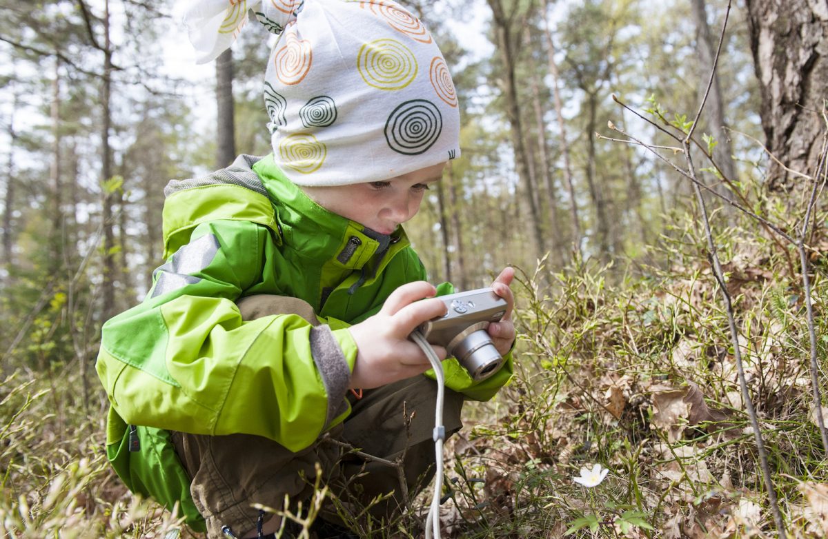 Pojke tar kort på en vitsippa i vårskogen.