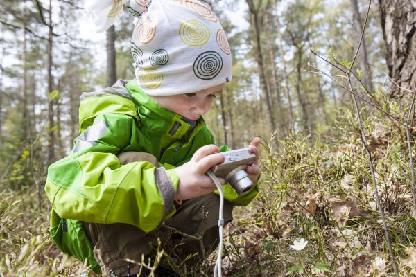 Pojke tar kort på en vitsippa i vårskogen.