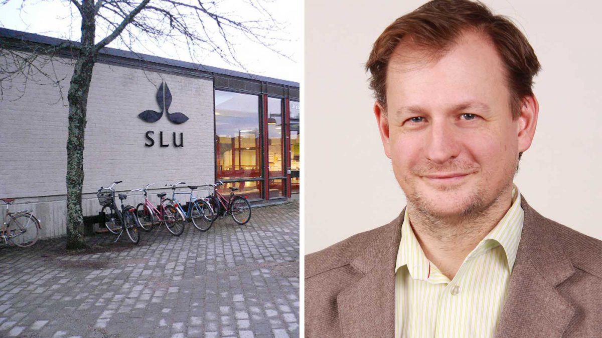 Lokalen i Uppsala där mötet ska äga rum, Carl Schlyter i ledigt knäppt skjorta och ljusbrun kavaj.