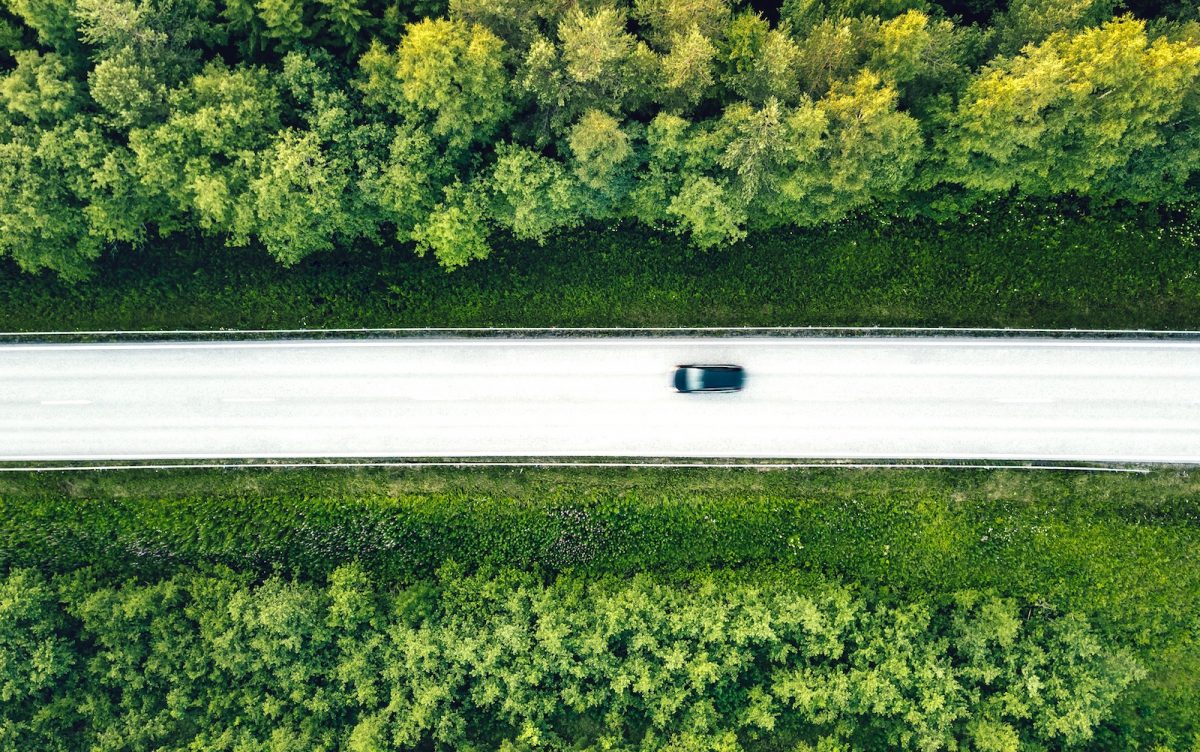 Skog som klyvs mitt itu av motorväg.