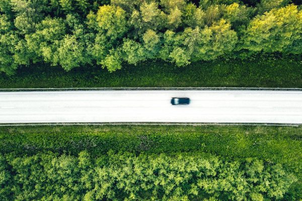 Skog som klyvs mitt itu av motorväg.