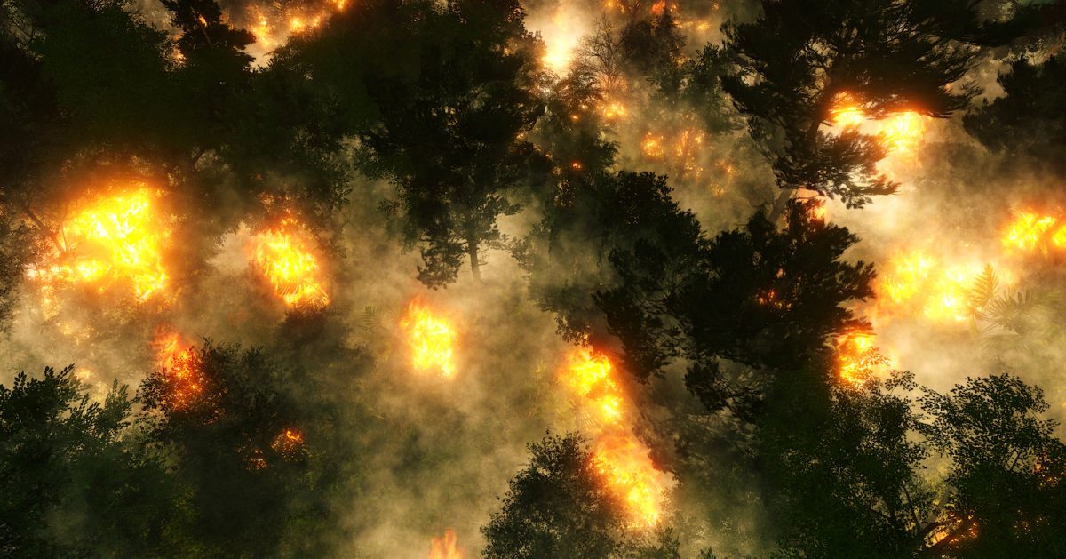 Bränderna i Amazonas sprider sig.