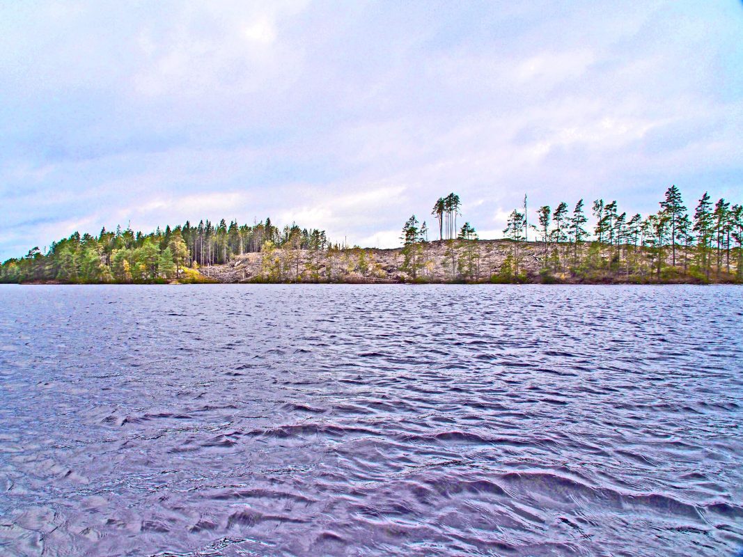 strand med skog