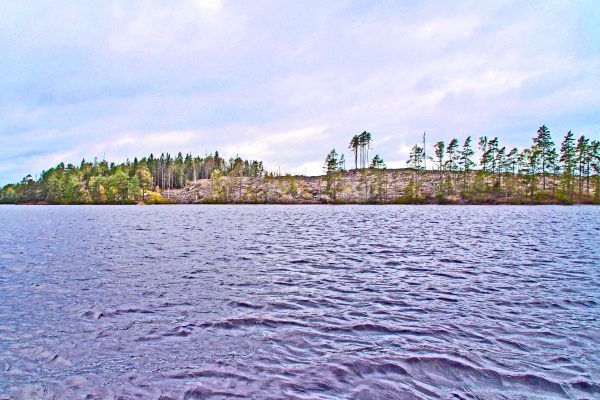 strand med skog