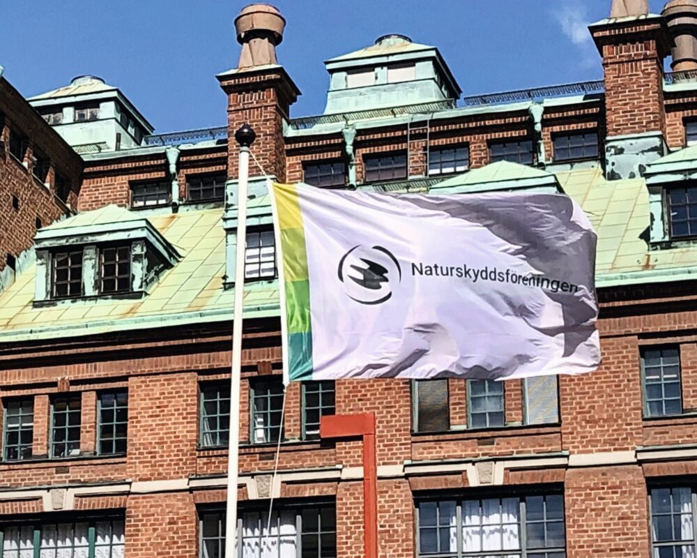 En flagga utanför byggnad