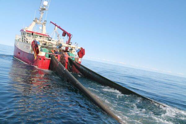 Trål dras efter fiskebåt