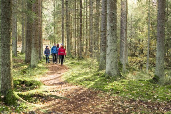 Personer som vandrar i en skog