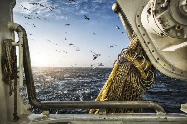 Nät på fiskebåt med måsar i bakgrunden.