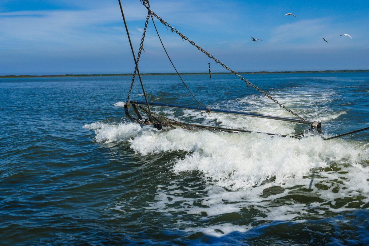 Fiskenät i vatten