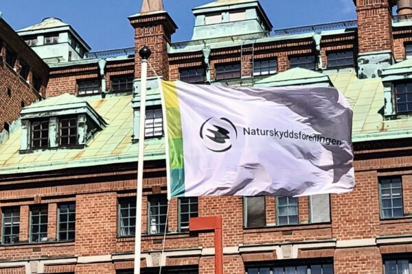 Flagga utanför tegelbyggnad.