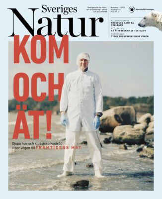tidningsomslag