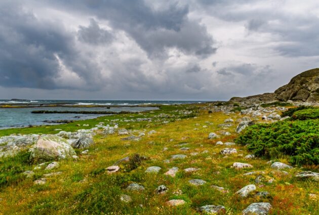 Strandäng.