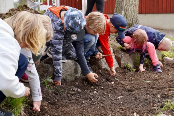 Barn planterar