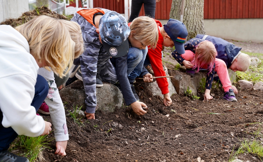 Barn planterar