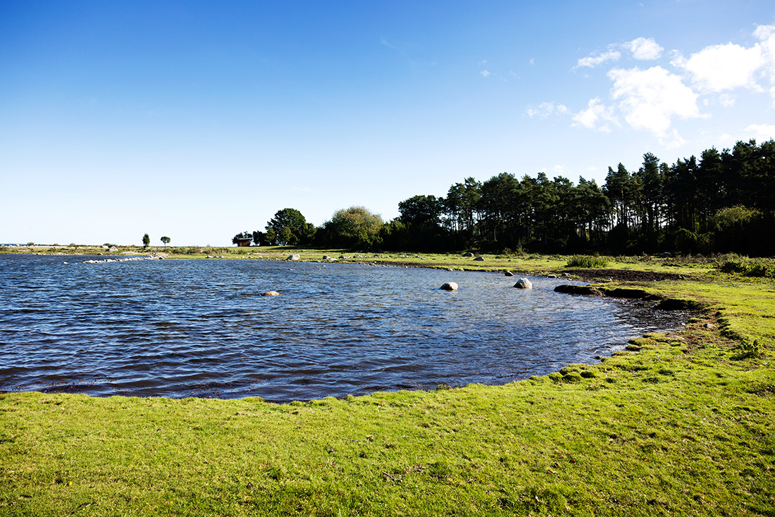 Strandäng
