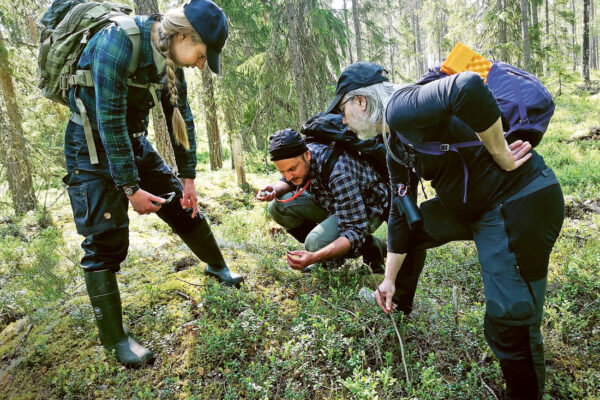 Inventering av nyckelarter i skog.